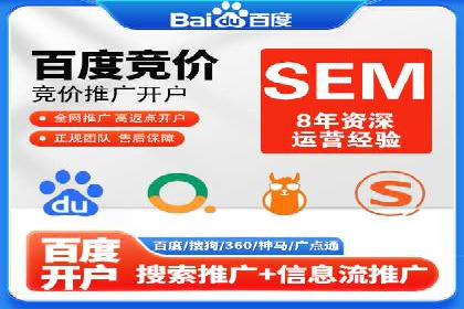 案例分析：SEM优化助力电商销量增长